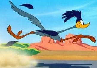 cartoons_road-runner